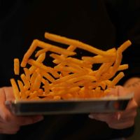 Netherlands Fries